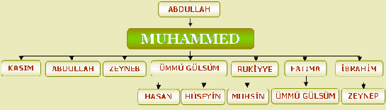 Hz. Muhammedin Torunlar